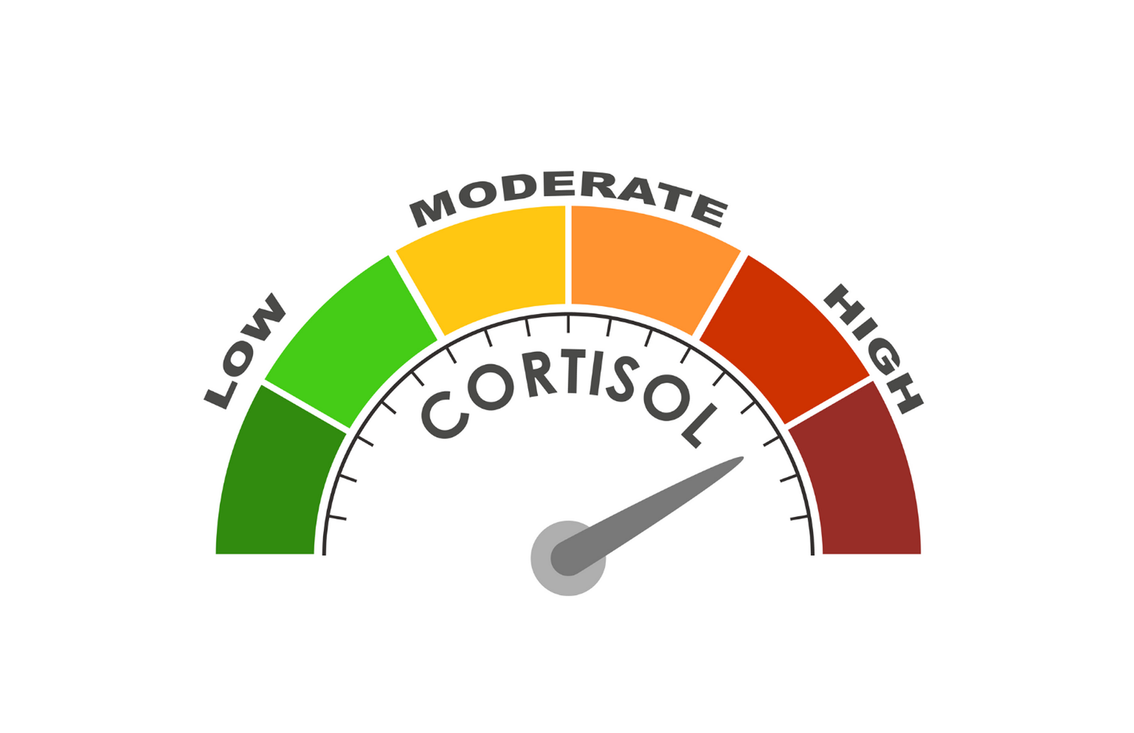hormonal imbalance - Cortisol High