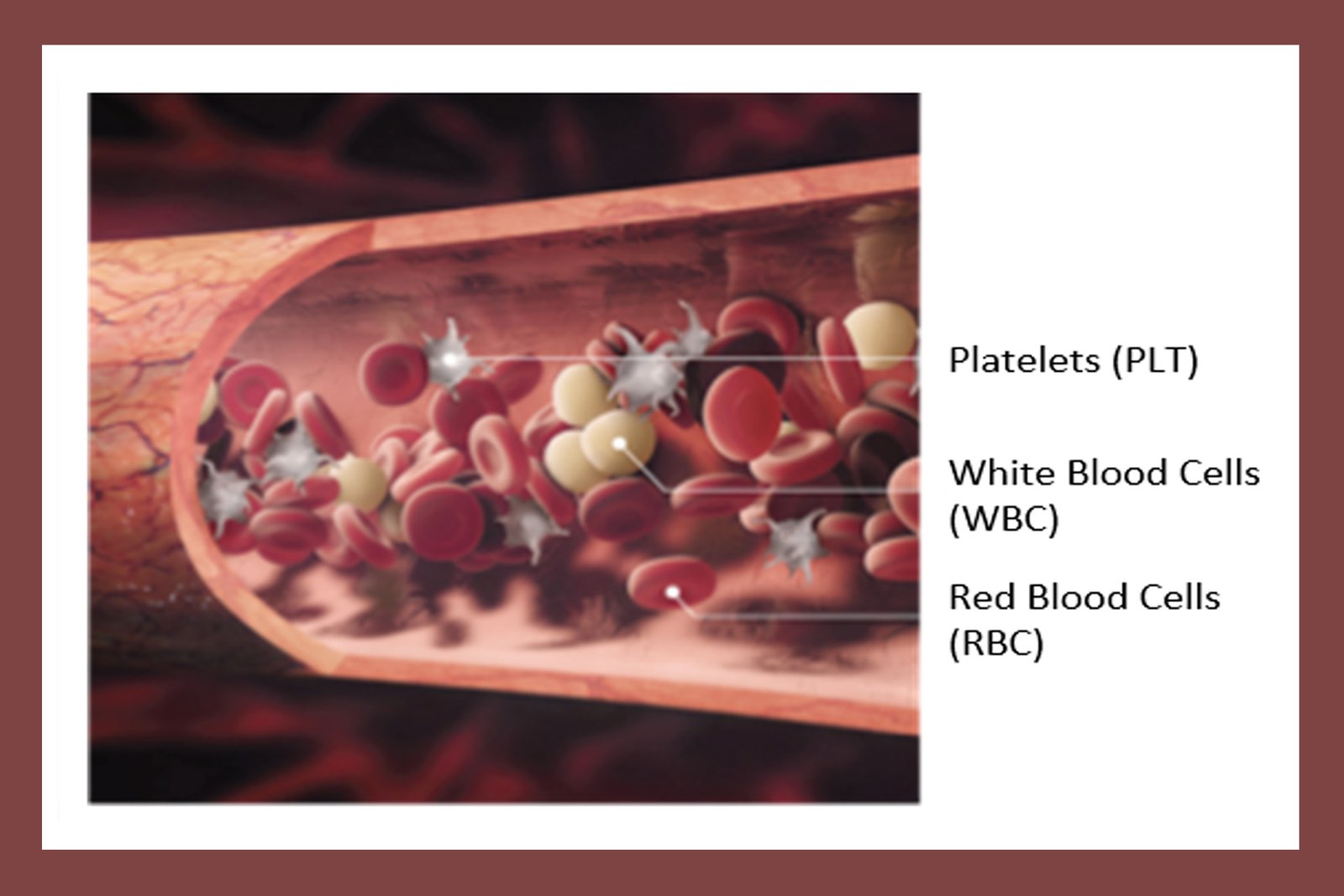 Platelet-Rich Plasma (PRP) Therapy